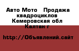 Авто Мото - Продажа квадроциклов. Кемеровская обл.,Калтан г.
